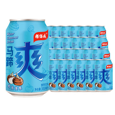 杨协成马蹄爽300ml*24罐