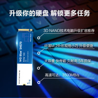 西部数据(WD) Blue SN570 NVMe SSD固态硬盘 M.2接口(NVMe协议) SSD固态硬盘 1TB