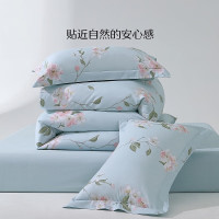 水星家纺床上纯棉四件套精梳棉清新花卉系列套件1.8米床 雨后知春