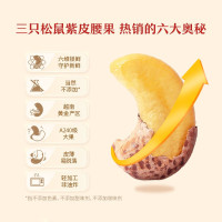 三只松鼠紫皮腰果