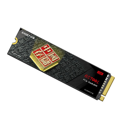 忆捷(EAGET)2TB SSD固态硬盘 国产TLC颗粒 M.2接口(NVMe协议) GS700L(个)