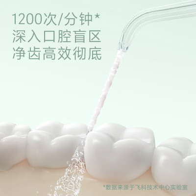 飞科(FLYCO)电动冲牙器洗牙器便携式水牙线家用洁牙器预防牙结石 4种模式4种喷嘴 情人节新年礼物FP7800水晶绿