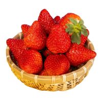 企采严选红颜草莓新鲜奶油九九水果草莓 精选优果3斤