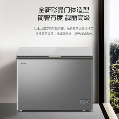 海尔(Haier)308升家用小型冷柜 零下26度冷藏冷冻转换卧式冰柜 一级能效减霜冰柜BC/BD-308GHPG