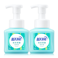 蓝月亮鲜果薄荷泡沫抑菌洗手液255ml*2瓶(80001698)