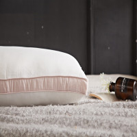 恒源祥HYX025ZX大豆枕48*74