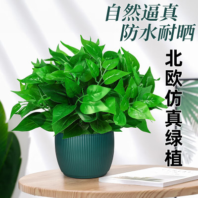 仿真绿萝叶盆栽 塑料花卉装饰