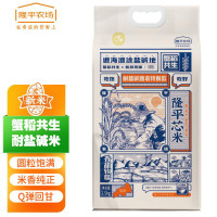 隆平芯米袁隆平大米耐盐碱助农特别款2.5kg