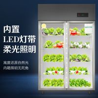 企采严选 大二门冷藏展示柜商用冷链立式饮料柜点菜柜串串保鲜冰柜 大二门-冷藏-豪华款