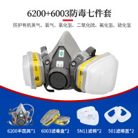 3M防毒面具防尘口罩工业粉尘化工喷漆农药印刷有毒害专用6200+6003 七件套