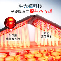 极萌折叠屏大排灯+淡斑美容仪套装