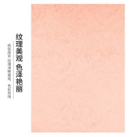 天章(TANGO)A3++凹凸皮纹纸/压纹纸/封面纸/云彩纸/封皮纸 彩色卡纸标书封面 浅粉色210g