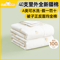 睡眠英雄(SleepHero)40支A类可水洗纯棉 新疆棉花夏季空调被夏凉被子3斤200*230cm