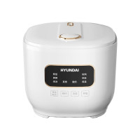 HYUNDAI智能电饭煲FBD30-5A8(单位:台)
