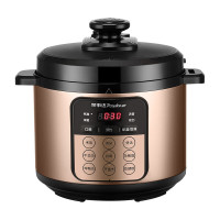 荣事达电脑版电压力锅YDG50-90A207(LB)[按键5L+车边内胆](单位:台)