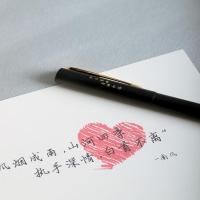 派克(PARKER)宝珠笔签字笔男女生日礼物定制刻字伴手礼商务礼赠高端轻奢新年礼物 威雅金夹宝珠笔-笔芯礼盒