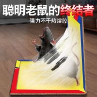 企采严选 粘鼠板5星 1张装