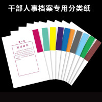 西玛(SIMAA)10套干部档案分类纸干部人事档案专用普通索引纸十大分类纸 一到十类隔页纸