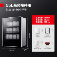 德玛仕(DEMASHI)茶杯消毒柜办公室小型高温二星级餐具杯子会议室茶水间台式家用商用茶具消毒碗柜 RTD60PD-1