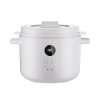 龙的LD-DG2535多功能电炖盅350W/2.5L