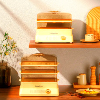 龙的LD-ZL8018多功能电蒸笼800W/18L