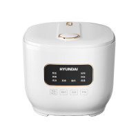 现代HYUNDAI智能电饭煲FBD30-5A8(单位:台)