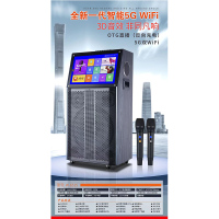 先科 W-6515 智能户外移动音响