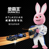 金霸王(Duracell)2号电池2粒装 碱性电池二号 适用于煤气燃气灶/热水器/收音机等 LR14