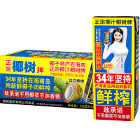 椰树牌 正宗椰子汁 245ml*24盒 整箱装 植物蛋白饮料