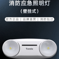 泰和安集中电源集中控制消防应急照明灯具双头灯TS-ZLZC-E5W-6650