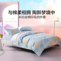水星家纺全棉四件套——梦之泡影1.8米