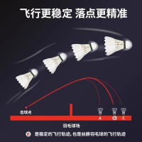 羽毛球 白羽耐打白色比赛防风训练用球室内室外24只
