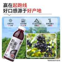 阿娜尔汗官方正品新疆黑加仑汁网红解渴新鲜整箱果汁特产500ml*15