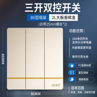 正泰灯开关三联