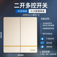 正泰灯开关二联