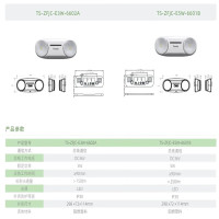 泰和安a型集中电源集中控制型消防应急照明灯疏散安全出口应急灯 TS-ZFJC-E3W-6602A