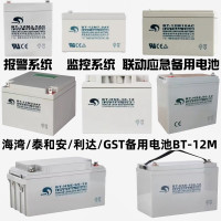 赛特海湾 GST泰和安消防报警壁挂消防主机应急照明电源备用BT蓄电池12V 12V38AH