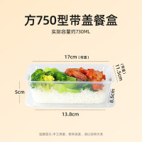 特美居一次性长方750型带盖打包餐盒300套装