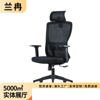 兰冉 人体工学椅电脑椅办公椅职员椅老板椅网布椅家用可躺椅子