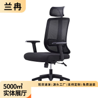 兰冉 网布办公椅电脑椅职员转椅可躺会议椅子可升降办公椅 笔墨黑
