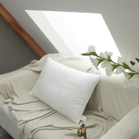 南极人 纤维枕,全棉白色-TC 449721933,40*70cm 单只,NJZT33