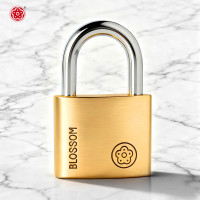 梅花(BLOSSOM)铜挂锁办公室宿舍铜锁仓库大铁门柜门锁防水防锈锁BC9040 40mm长梁 单位:把