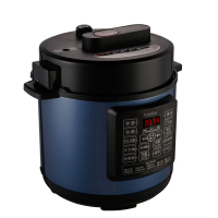 法迪欧(Fardior) 5升双胆加用电压力锅 智能预约一键开盖煮10大功能FY-EC5OR