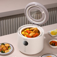 大宇流苏白智能电饭煲DYFB-409F 容量4L