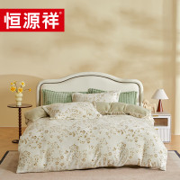 恒源祥TBK2069南笙暖绒四件套200*230cm单位:套