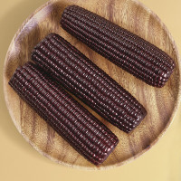 北纬47度黑珍珠甜糯玉米200g*8/盒(丰收纪念版)