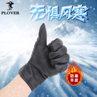 啄木鸟PLOVER男士羊皮手套GDST459-A均码天地盖黑色