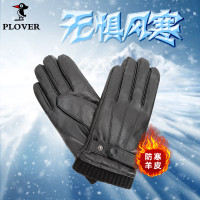 啄木鸟PLOVER男士羊皮手套GDST470-A-L/XL 天地盖黑色