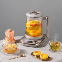 大宇养生壶DYYS-80018-