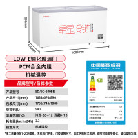 广东星星卧式冷冻冰柜310A